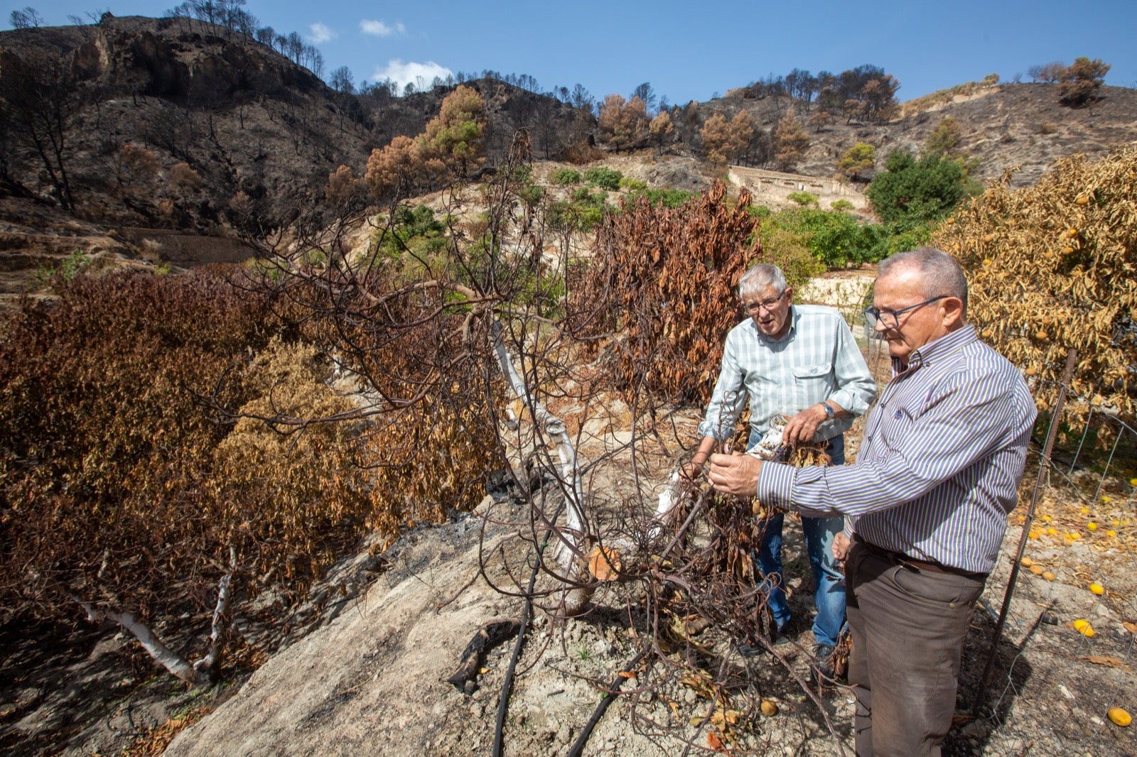 Así ha quedado la zona de Los Guájares tras el gran incendio