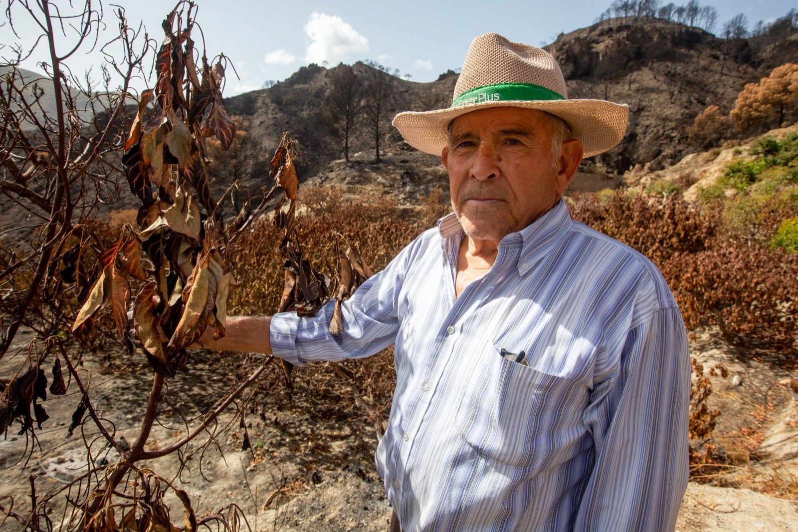 Así ha quedado la zona de Los Guájares tras el gran incendio