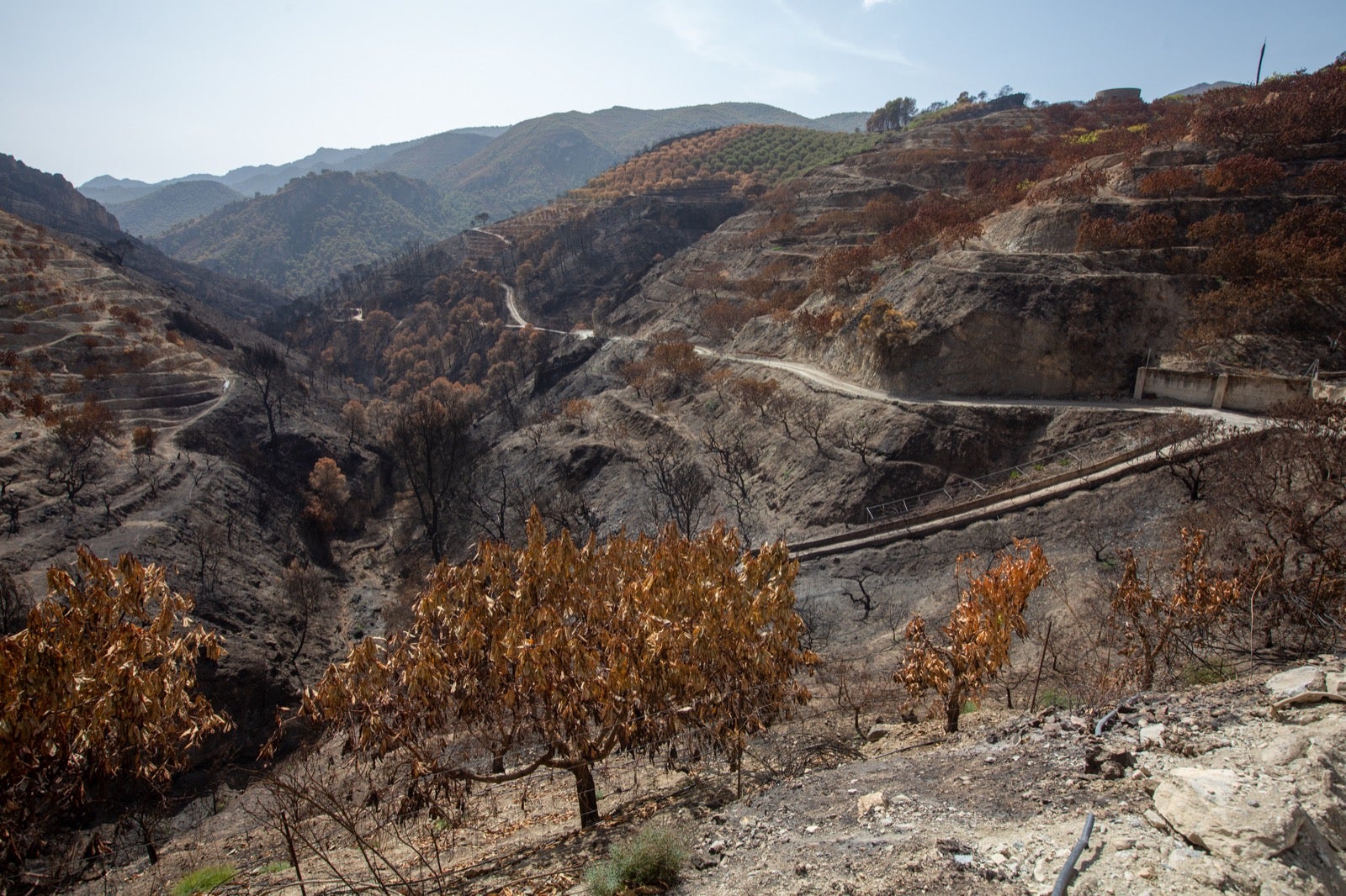 Así ha quedado la zona de Los Guájares tras el gran incendio