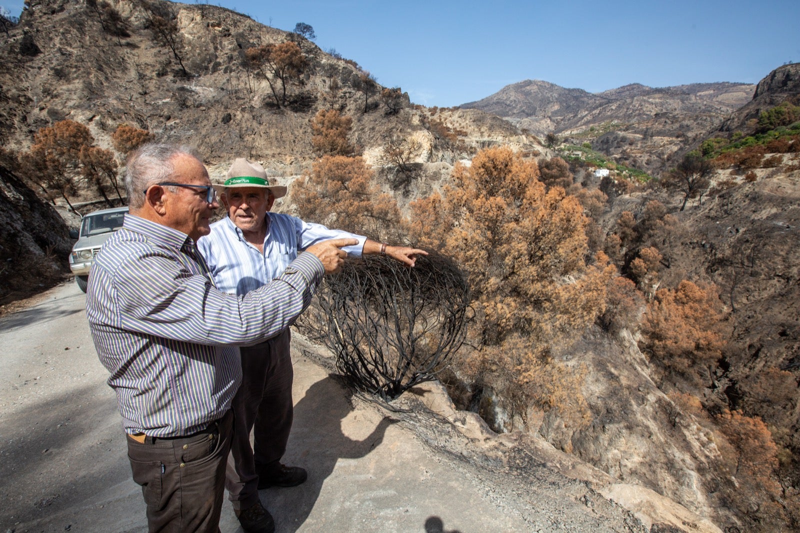 Así ha quedado la zona de Los Guájares tras el gran incendio
