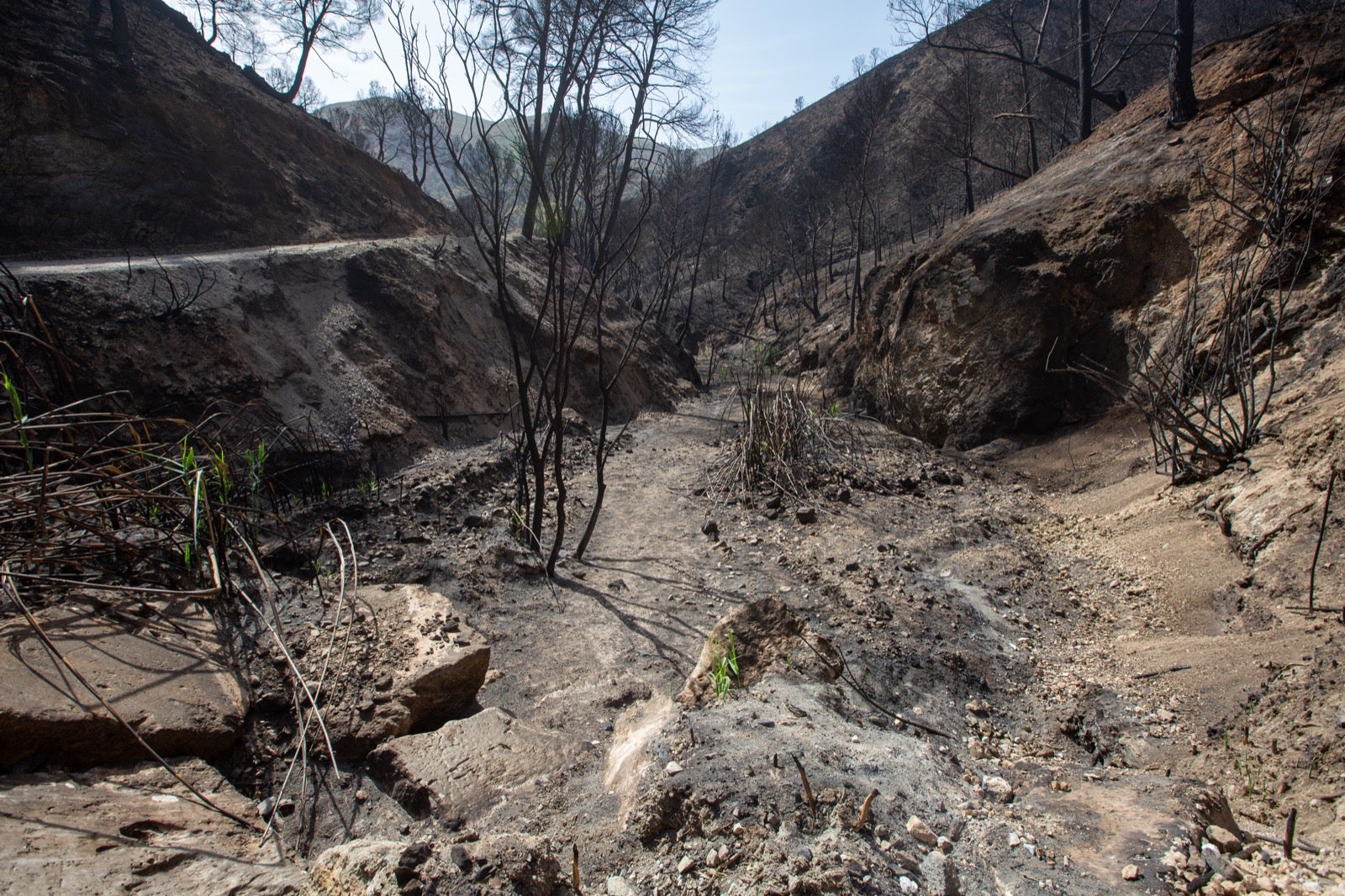 Así ha quedado la zona de Los Guájares tras el gran incendio
