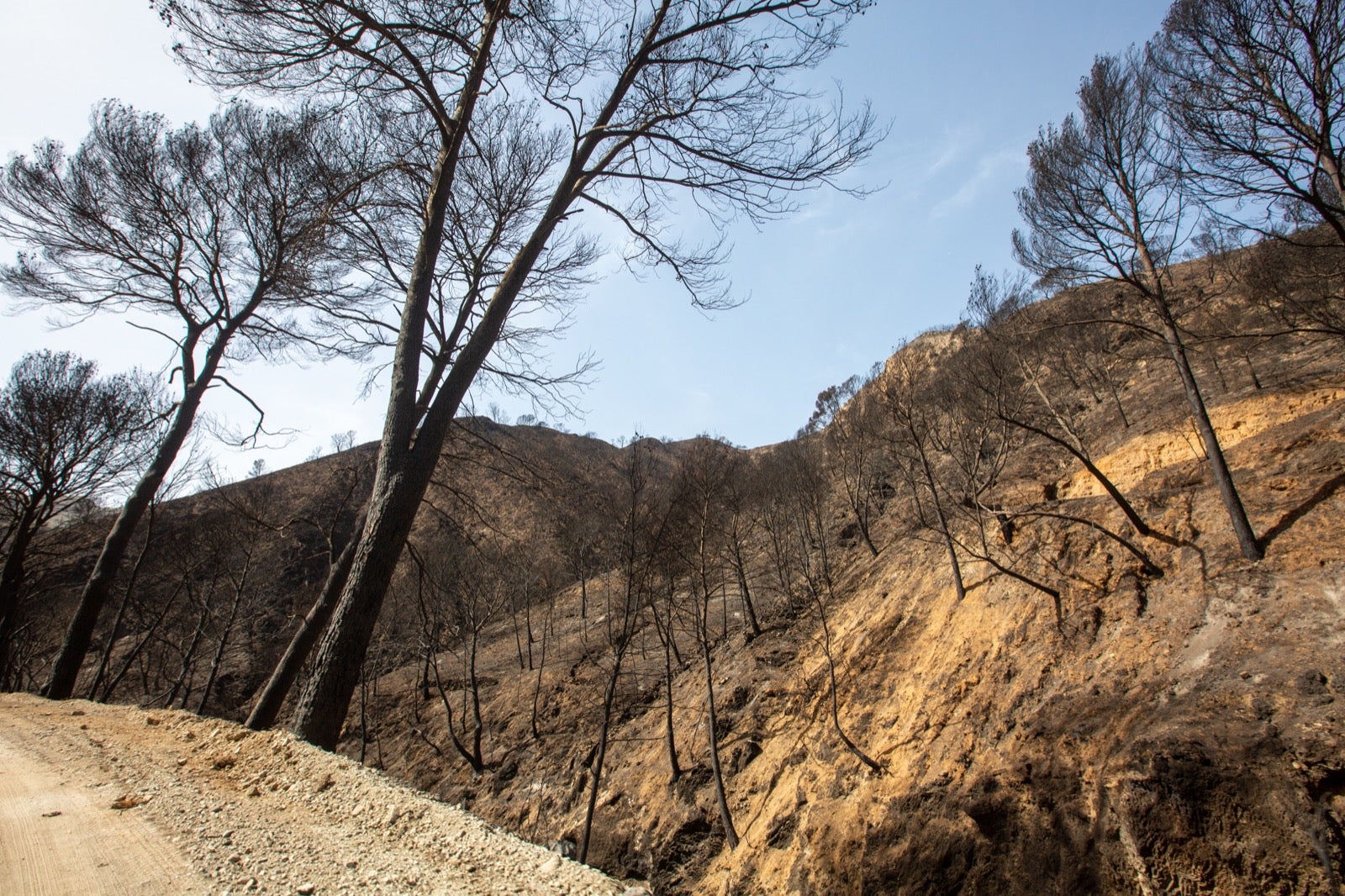 Así ha quedado la zona de Los Guájares tras el gran incendio
