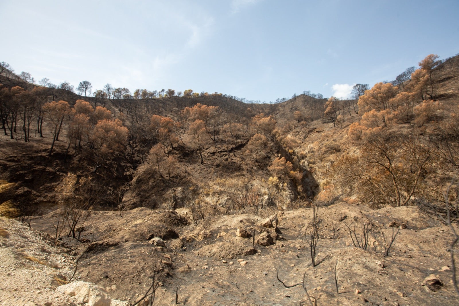 Así ha quedado la zona de Los Guájares tras el gran incendio