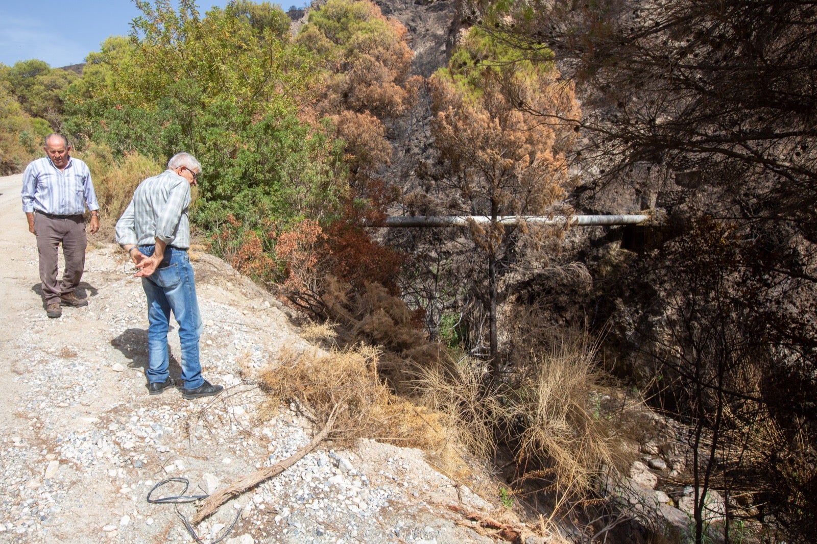 Así ha quedado la zona de Los Guájares tras el gran incendio