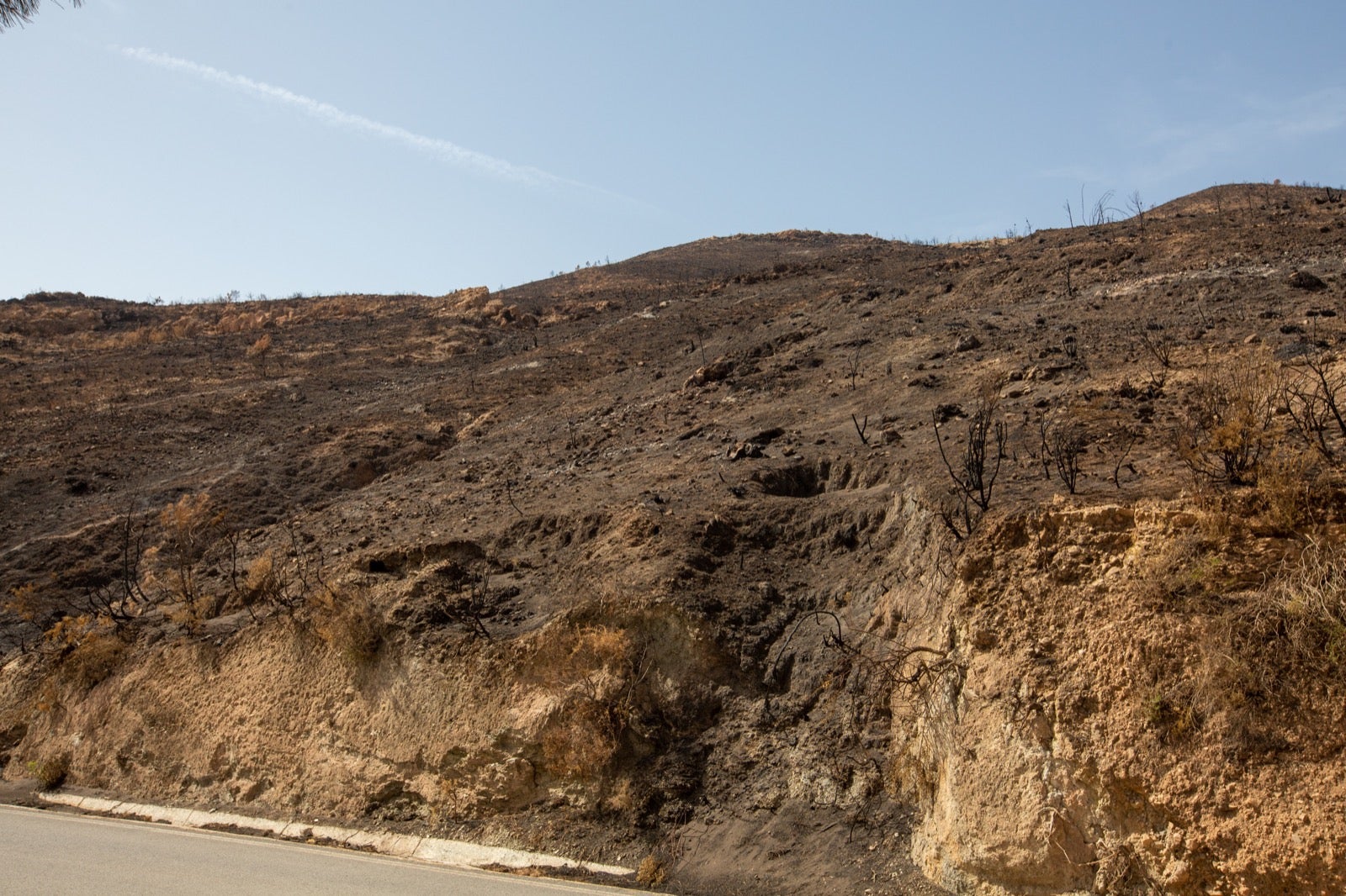 Así ha quedado la zona de Los Guájares tras el gran incendio