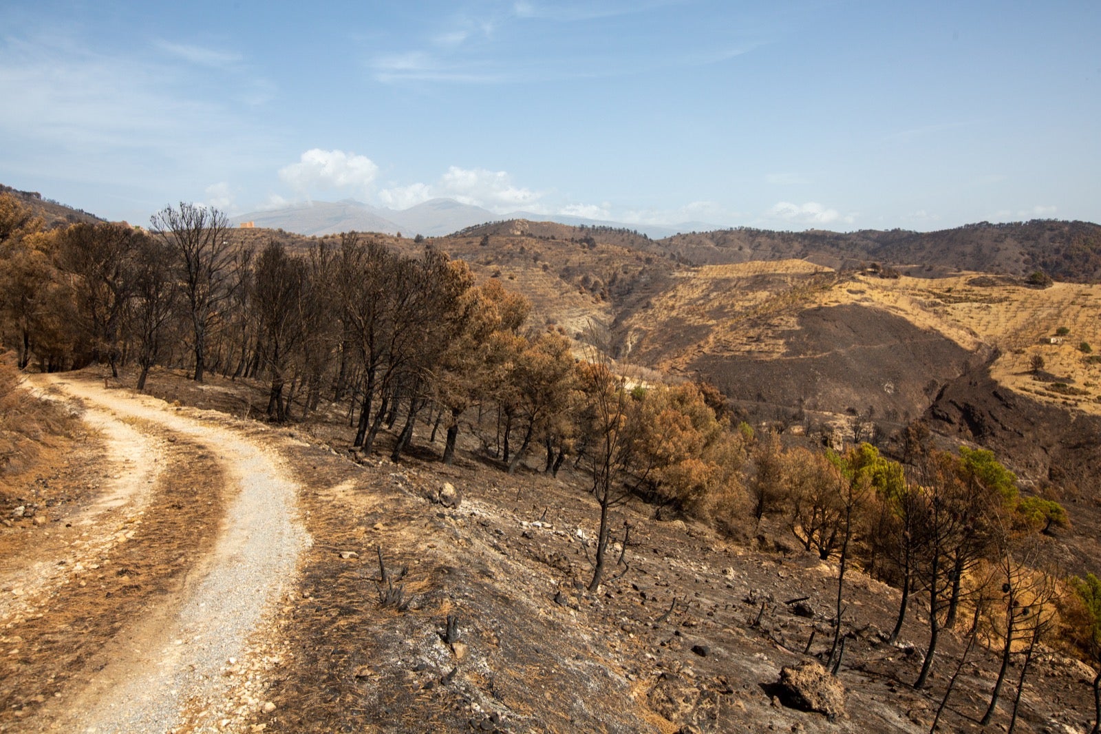 Así ha quedado la zona de Los Guájares tras el gran incendio