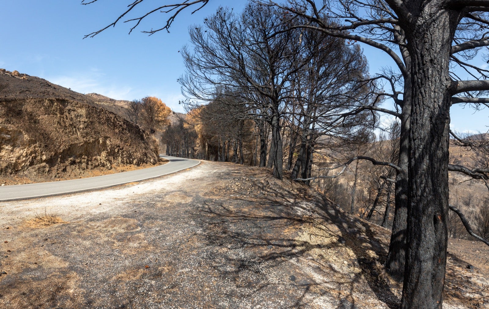Así ha quedado la zona de Los Guájares tras el gran incendio
