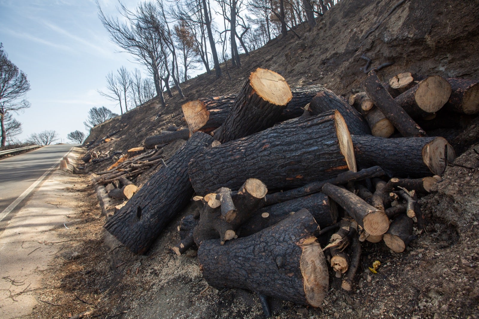 Así ha quedado la zona de Los Guájares tras el gran incendio