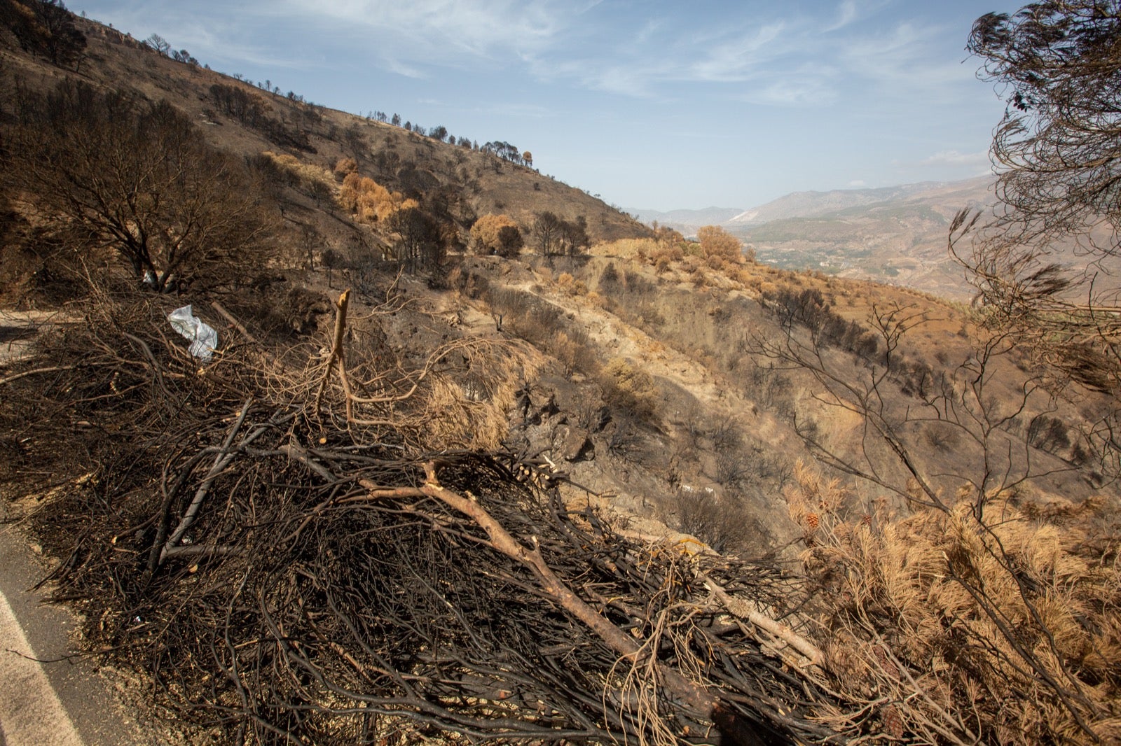 Así ha quedado la zona de Los Guájares tras el gran incendio