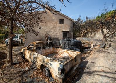Imagen secundaria 1 - El paisaje ha quedado destrozado y hay muchos bienes materiales afectados. También hay brotes verdes, como los de los cañaverales silvestres.