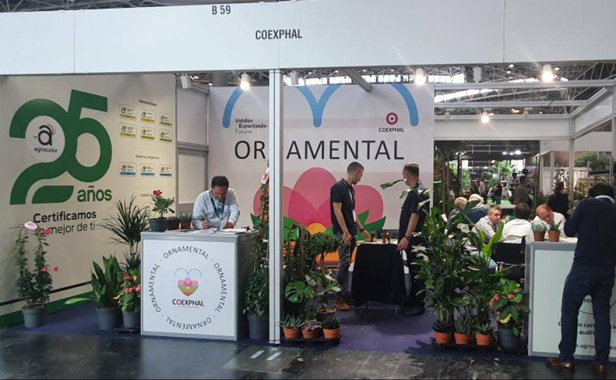 La sección ornamental de Coexphal afronta la campaña con optimismo