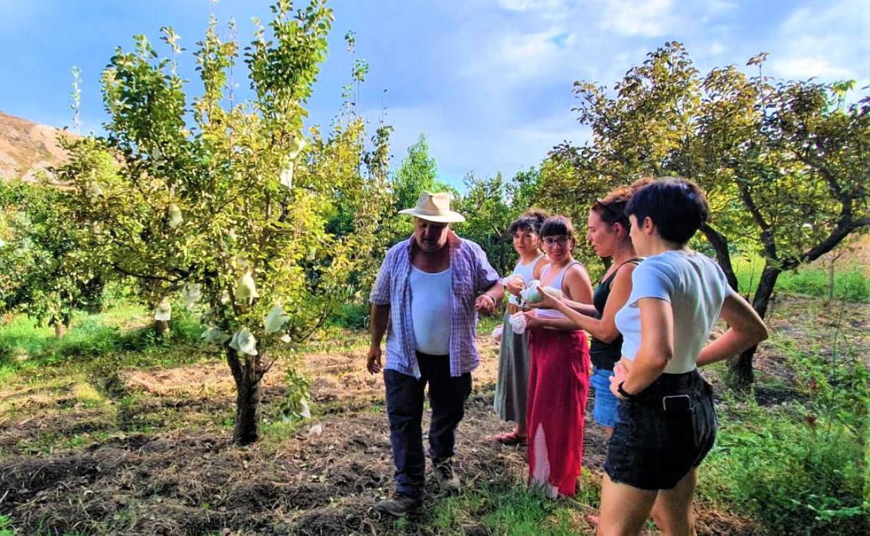 Francisco Luis en una de sus fincas. 