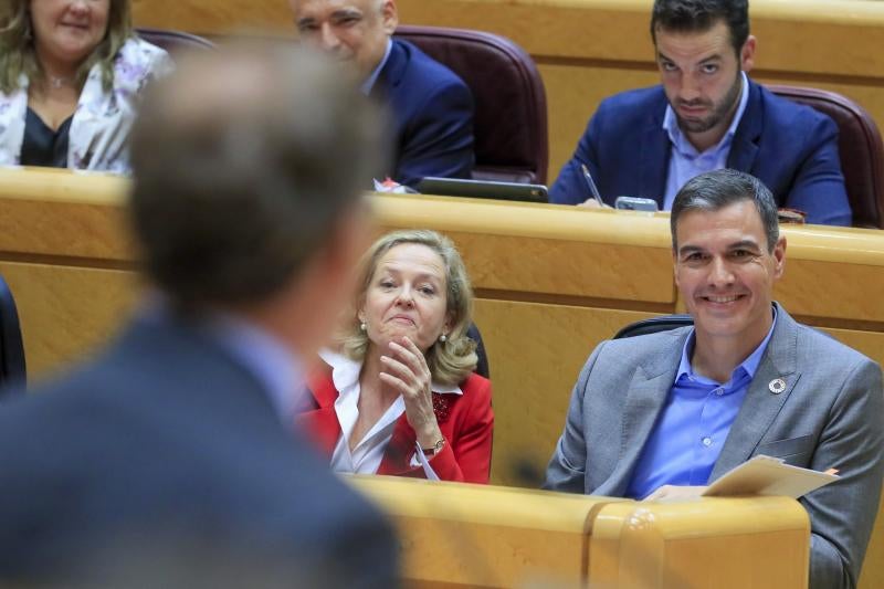 Sánchez acusa al PP de querer «podar» el Estado de bienestar