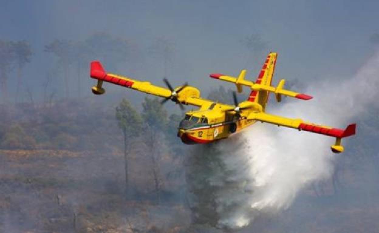 Una avioneta descarga agua sobre un incendio forestal (archivo).