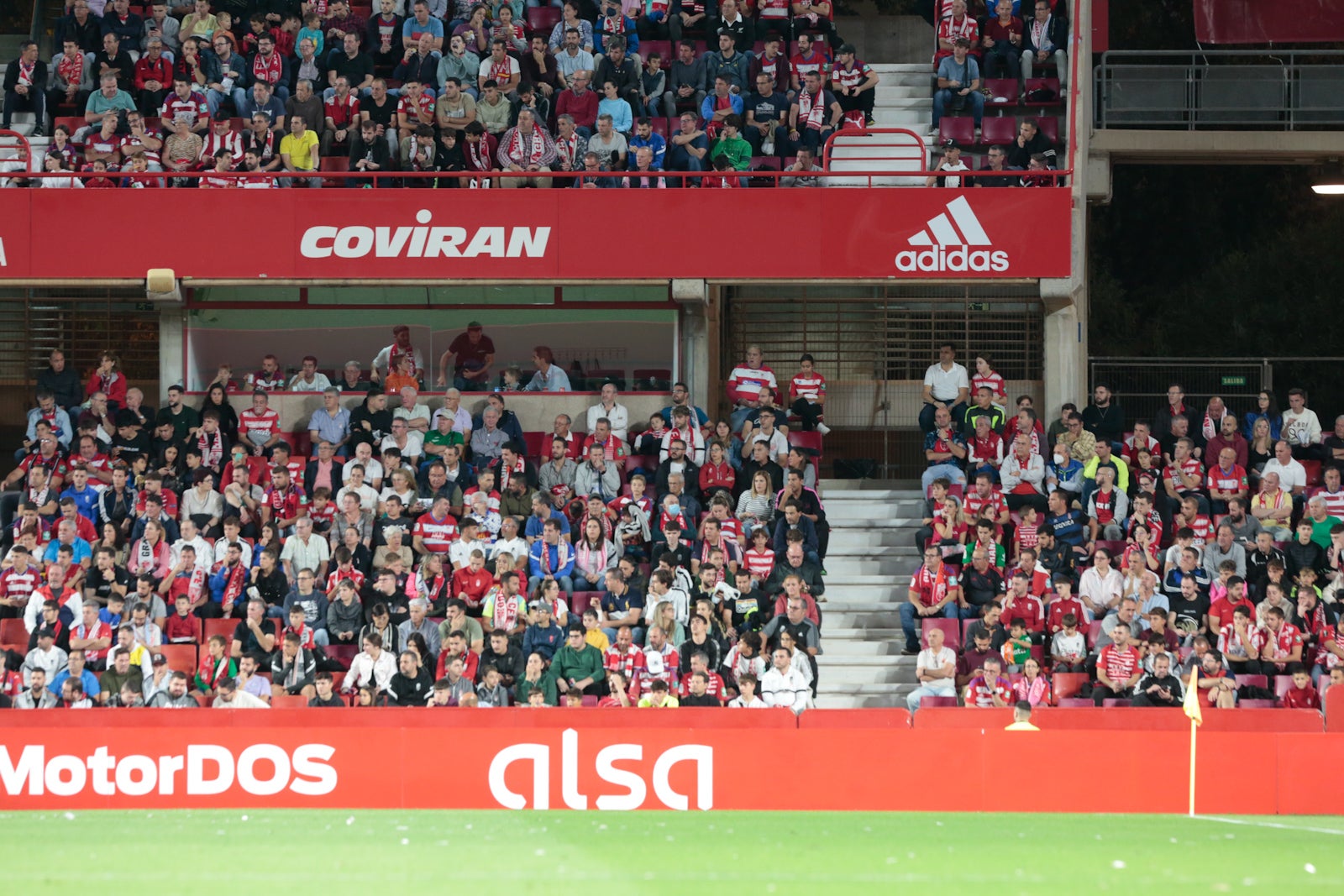 Fotos: Encuéntrate en la grada del Nuevo Los Cármenes en el Granada-Zaragoza