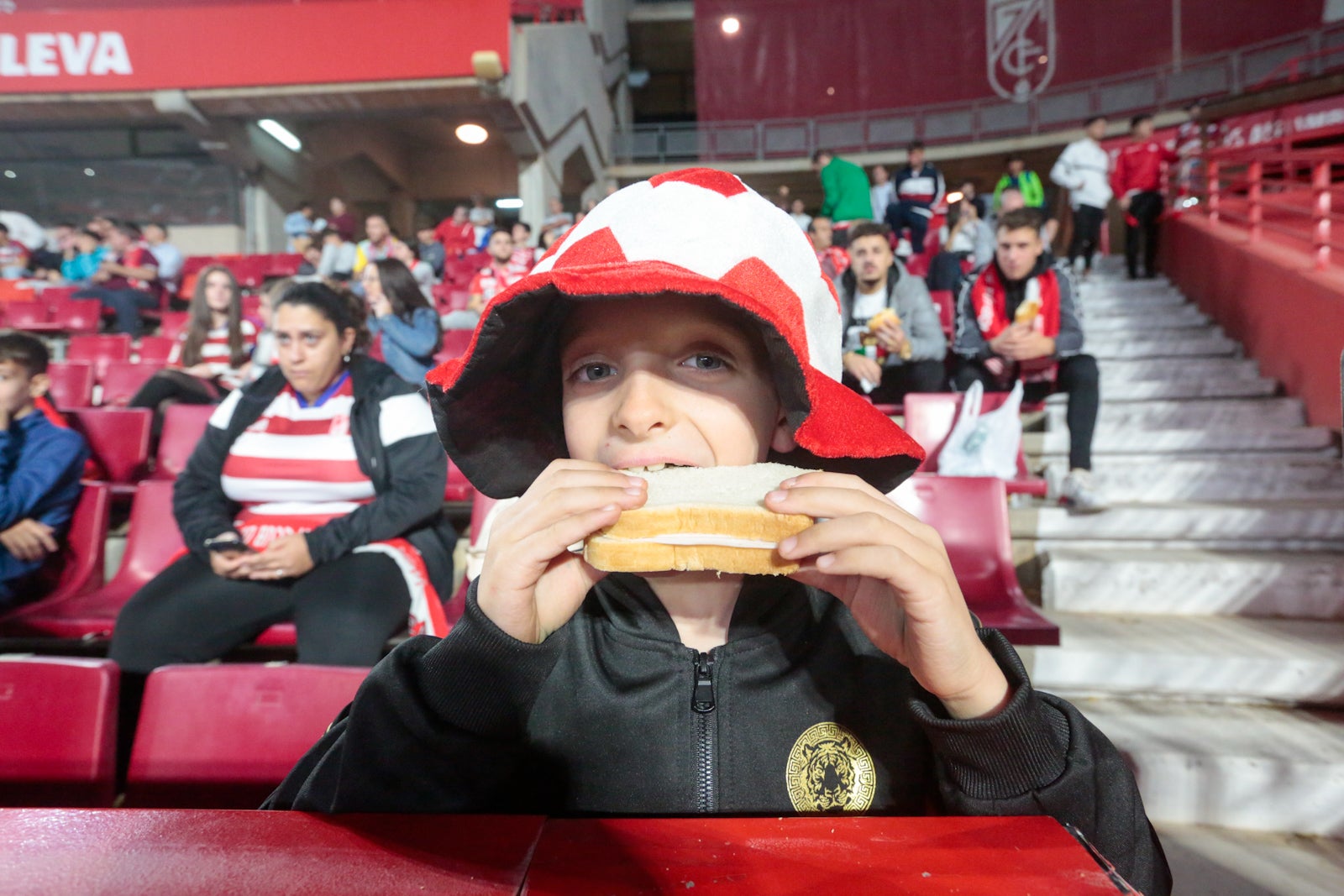 Fotos: Las mejores imágenes del Granada-Zaragoza