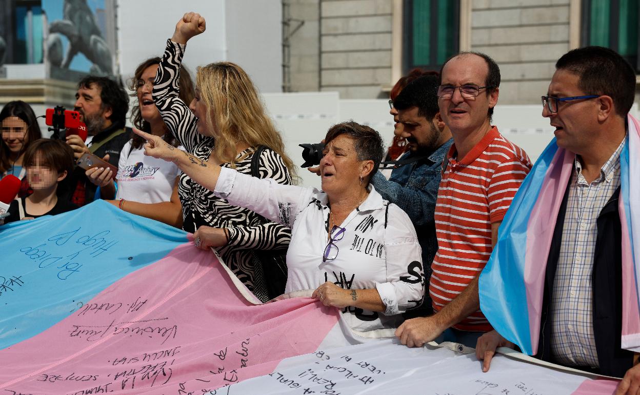 Varios activistas protestan a favor de la ley trans a las puertas del Congreso de los Diputados, este jueves.