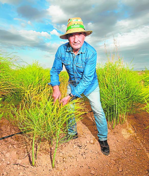 Antonio Rodríguez piensa en dejar su finca.