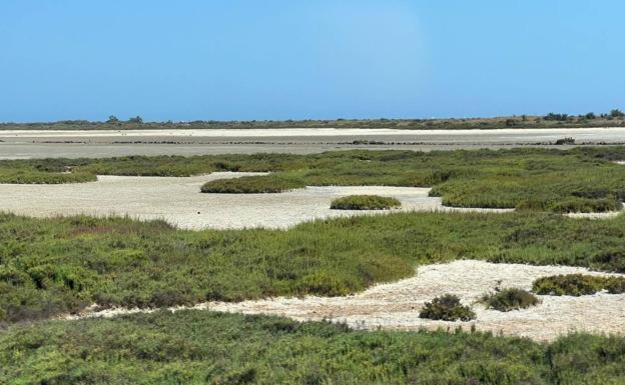 Alguien tiene que morir