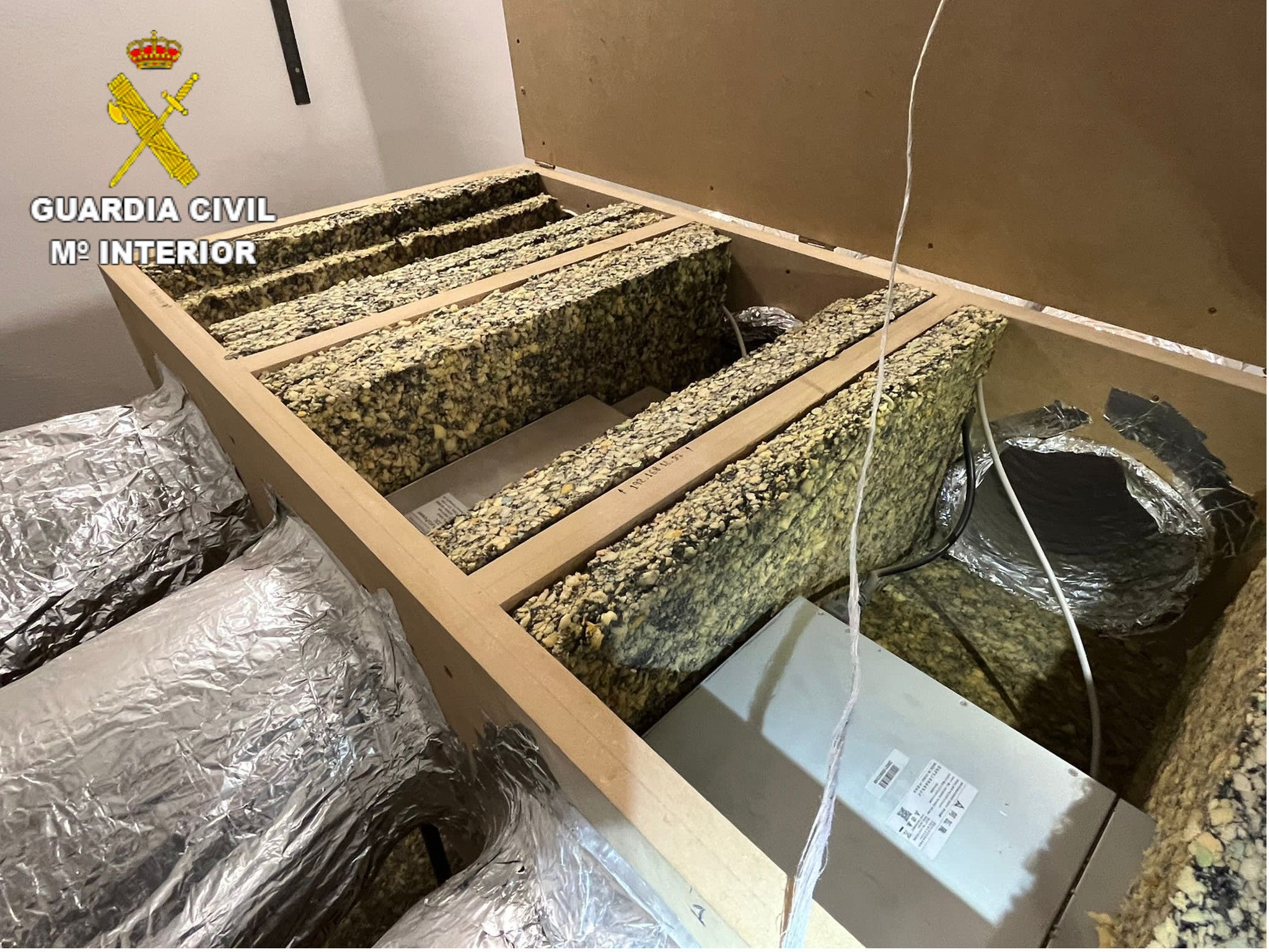 Los agentes han intervenido 17 000 euros en efectivo, una máquina para contar dinero, 105 billetes de lotería, más de 6 000 plantas de cannabis sativa y 4,3 kilos de marihuana dispuesta para la venta 
