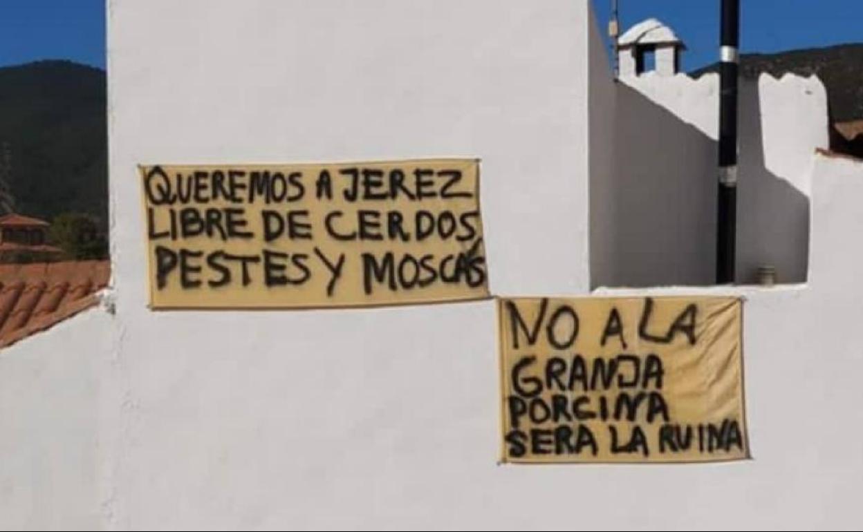 Pancartas contra la granja en edificios de Jérez. 