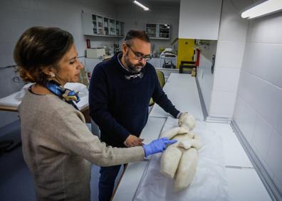 Imagen secundaria 1 - La Venus ya forma parte del Programa Expositivo del Museo, aunque no habría inconveniente para cederla temporalmente a Salar. 