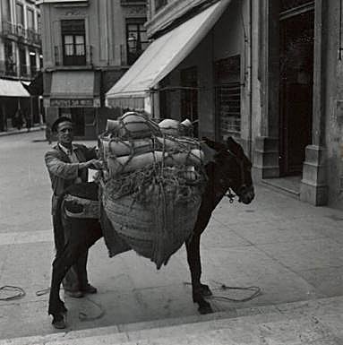 Burro cargado de cerámica en las Pasiegas junto a su dueño.