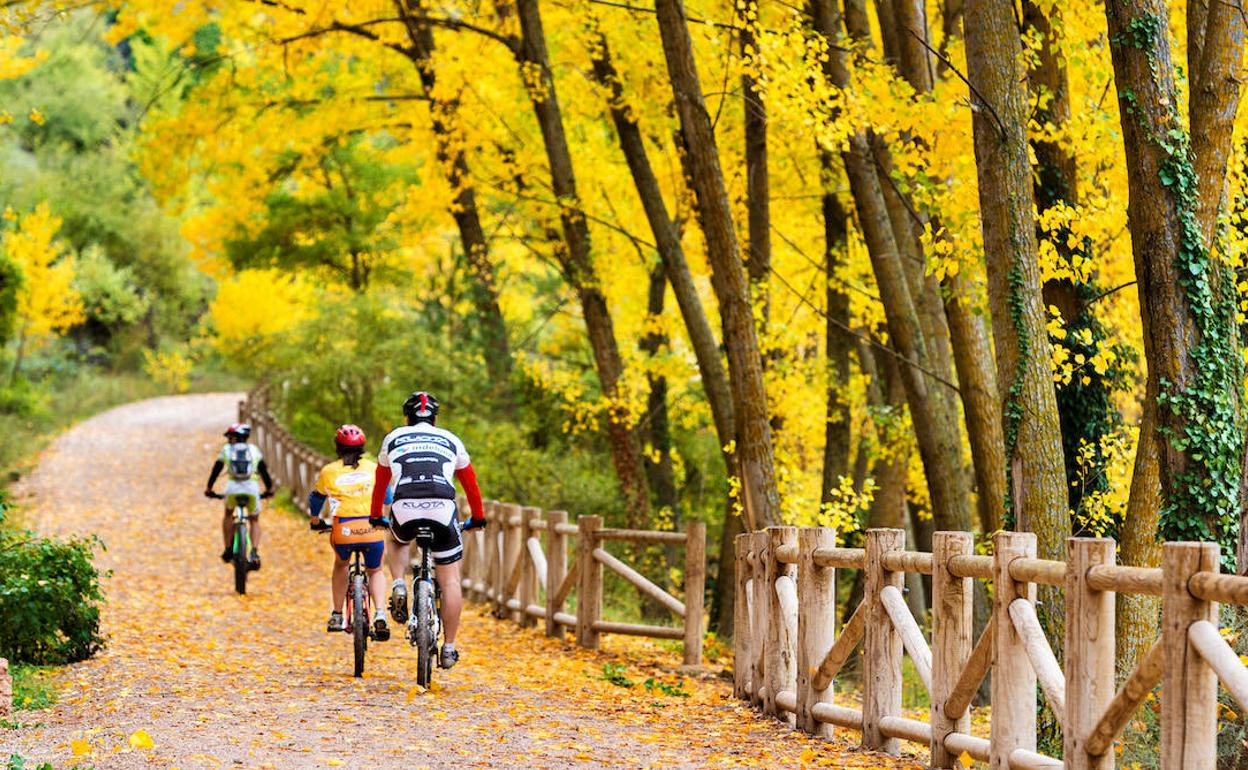 La bici gana terreno