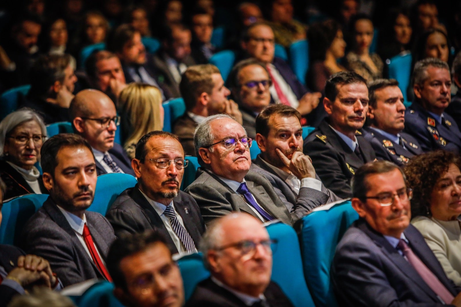 24 edición de los premios Duque San Pedro de Galatino. 