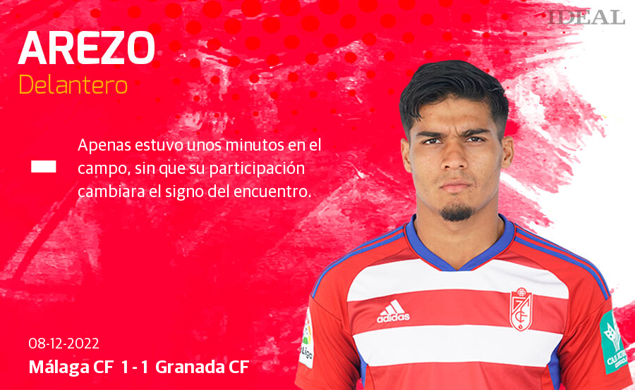 Estas son las notas de Ideal para los rojiblancos en el duelo de La Rosaleda.