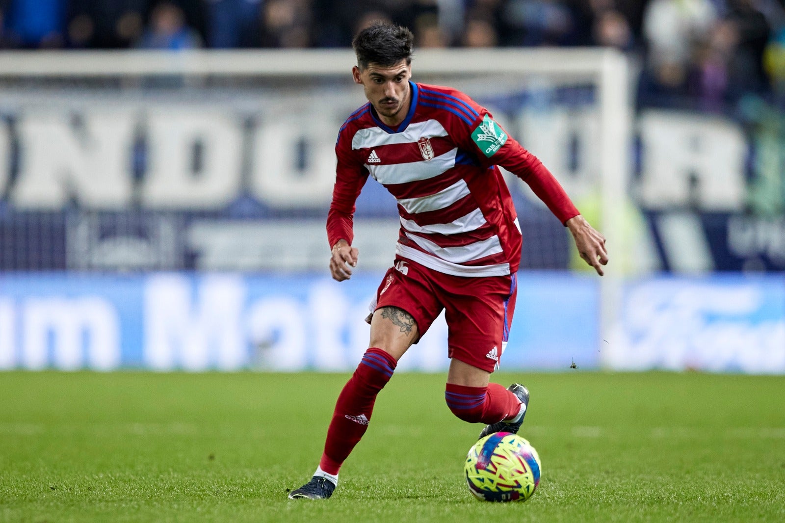 Las mejores imágenes del partido disputado en La Rosaleda