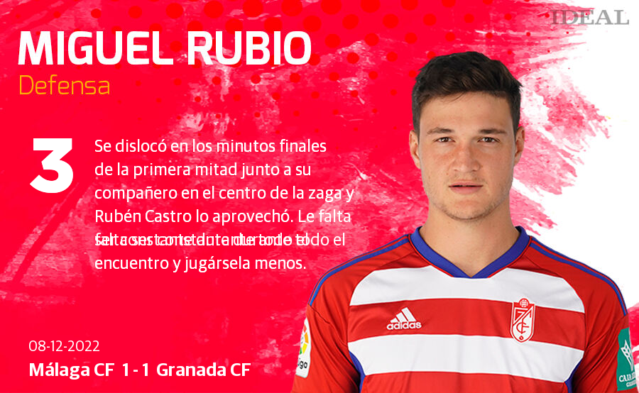 Estas son las notas de Ideal para los rojiblancos en el duelo de La Rosaleda.