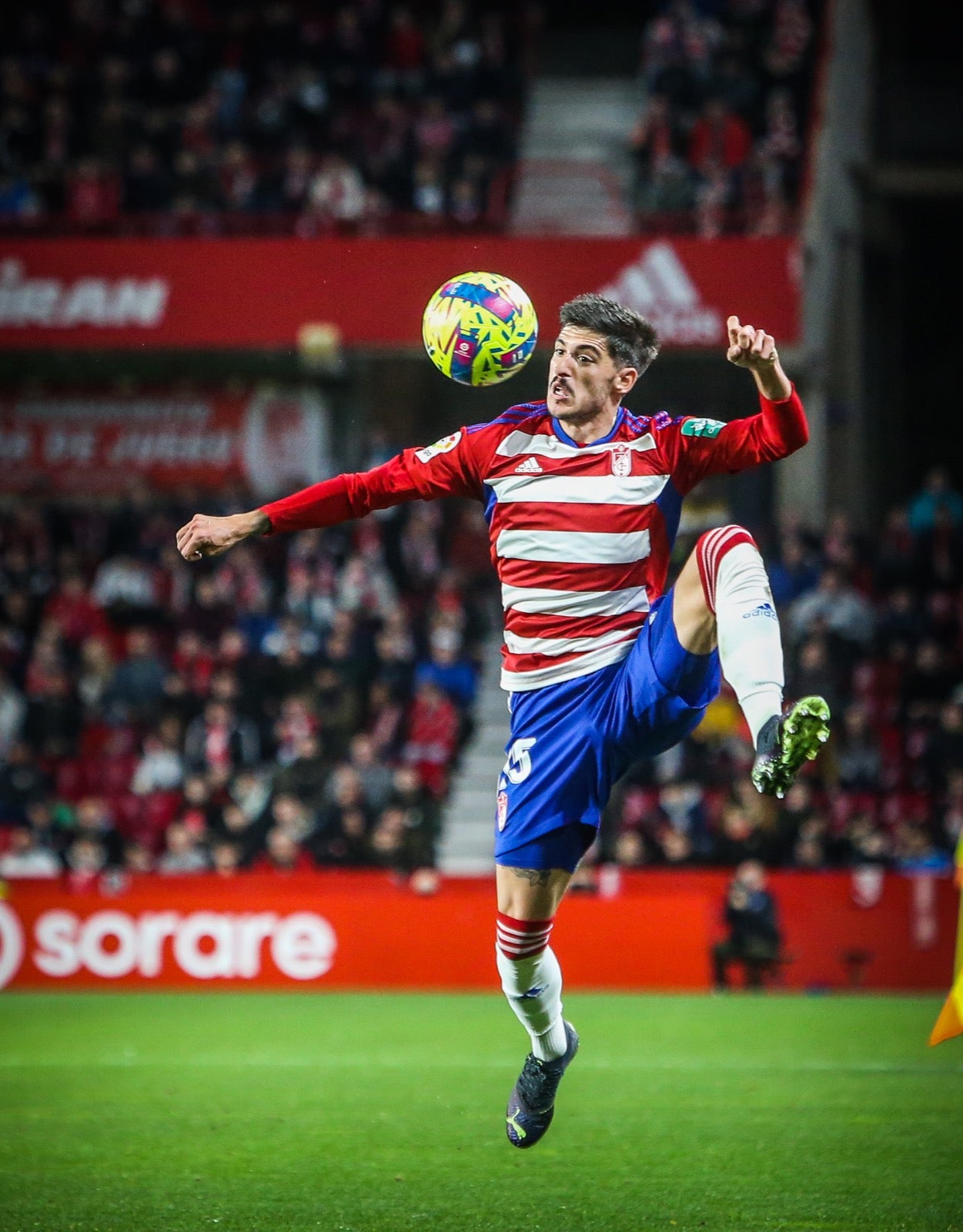 Las mejores imágenes del partido disputado en Los Cármenes