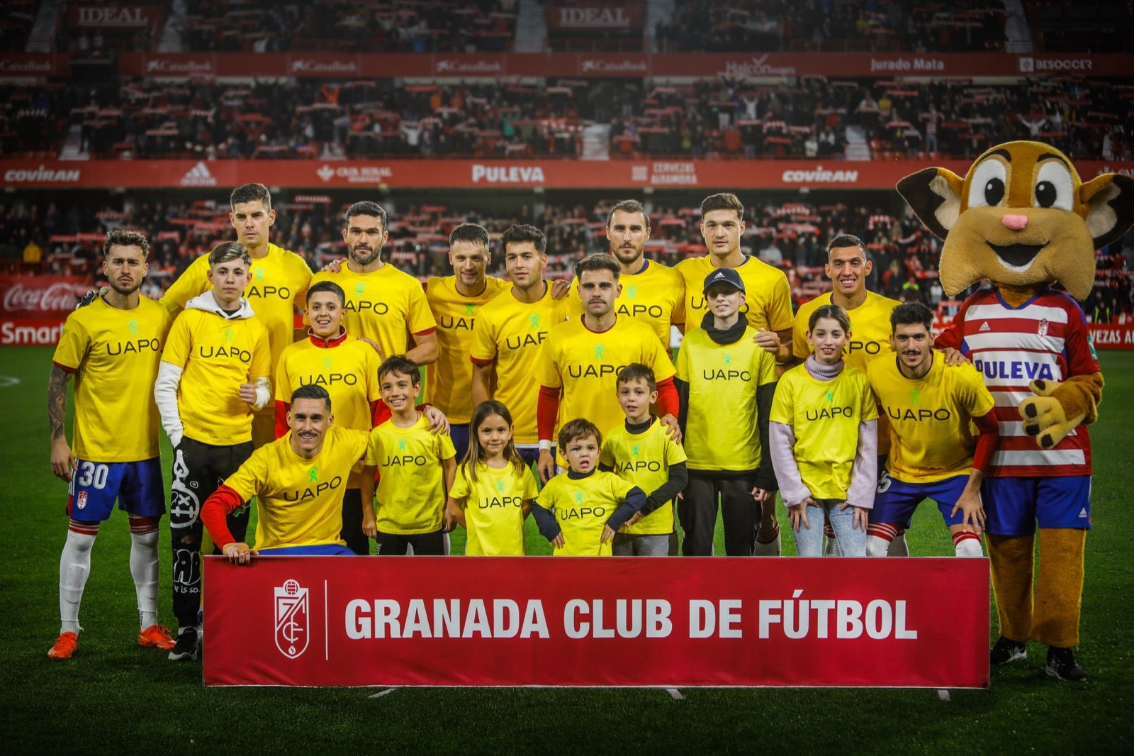 Las mejores imágenes del partido disputado en Los Cármenes