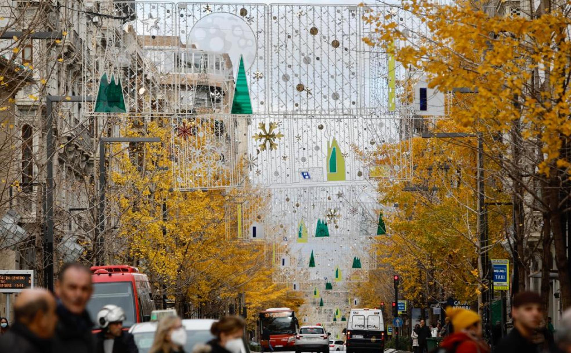 Varios ejemplares de 'ginkgo biloba' en la Gran Vía de Granada.