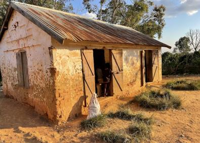 Imagen secundaria 1 - El colegio de Didy. 