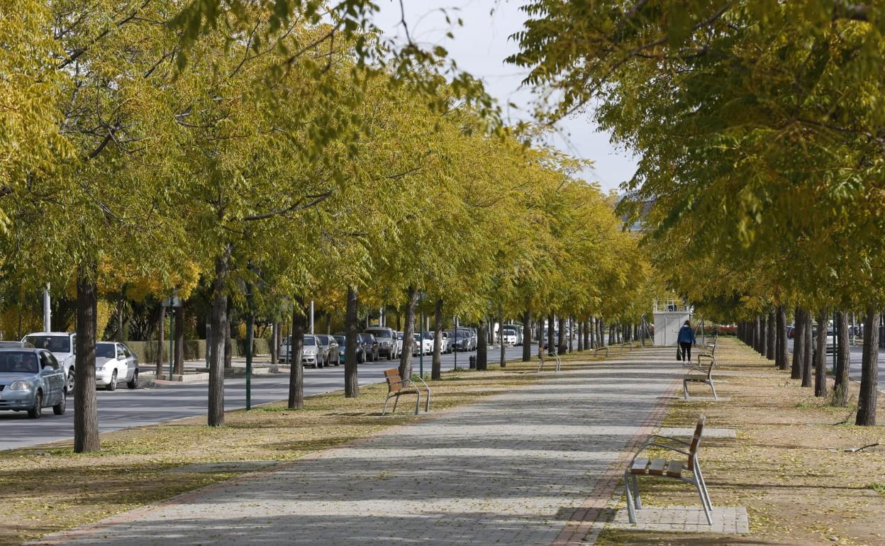 El tiempo cambia este fin de semana en Andalucía.