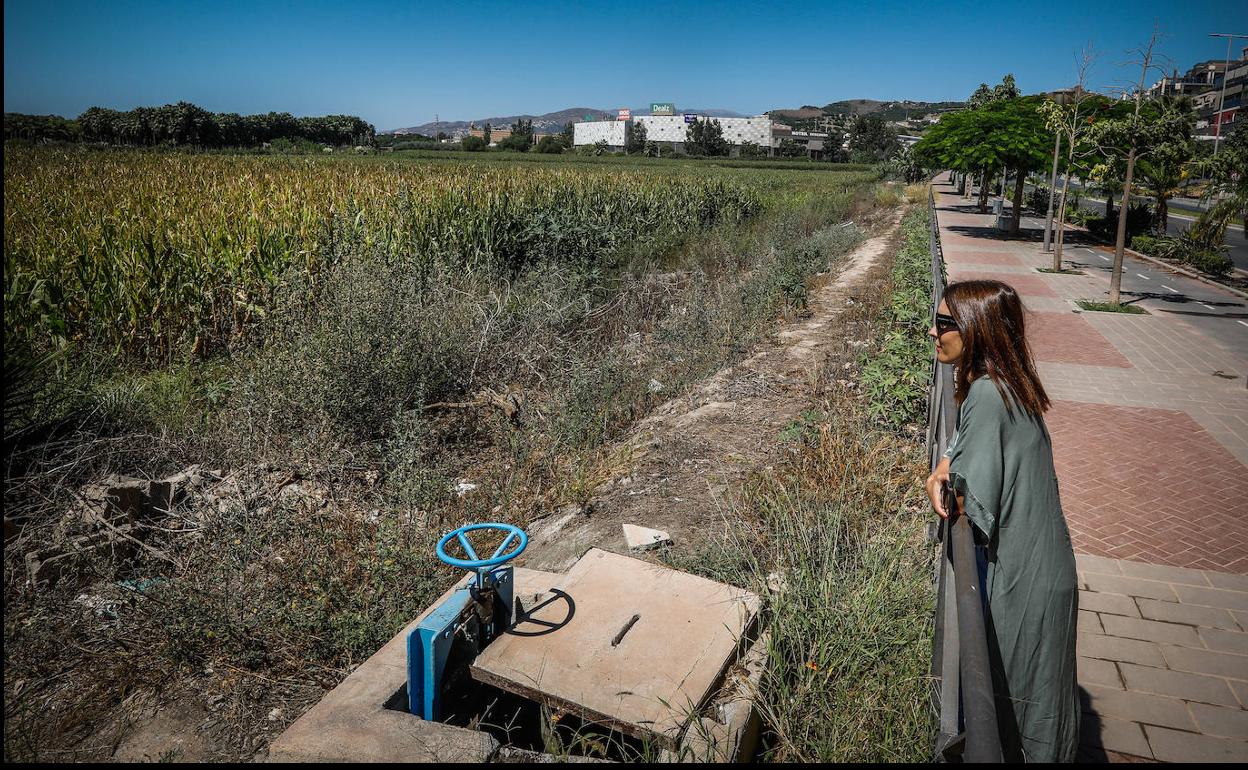 Terrenos de vega desde la avenida Norman Bethune de Motril destinados al futuro parque de la caña. 