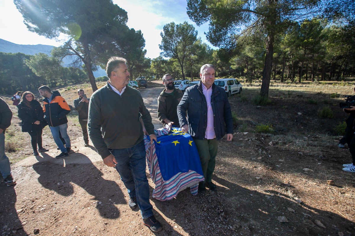 La Junta pone en libertad a dos machos y tres hembras para repoblar la Sierra de Arana