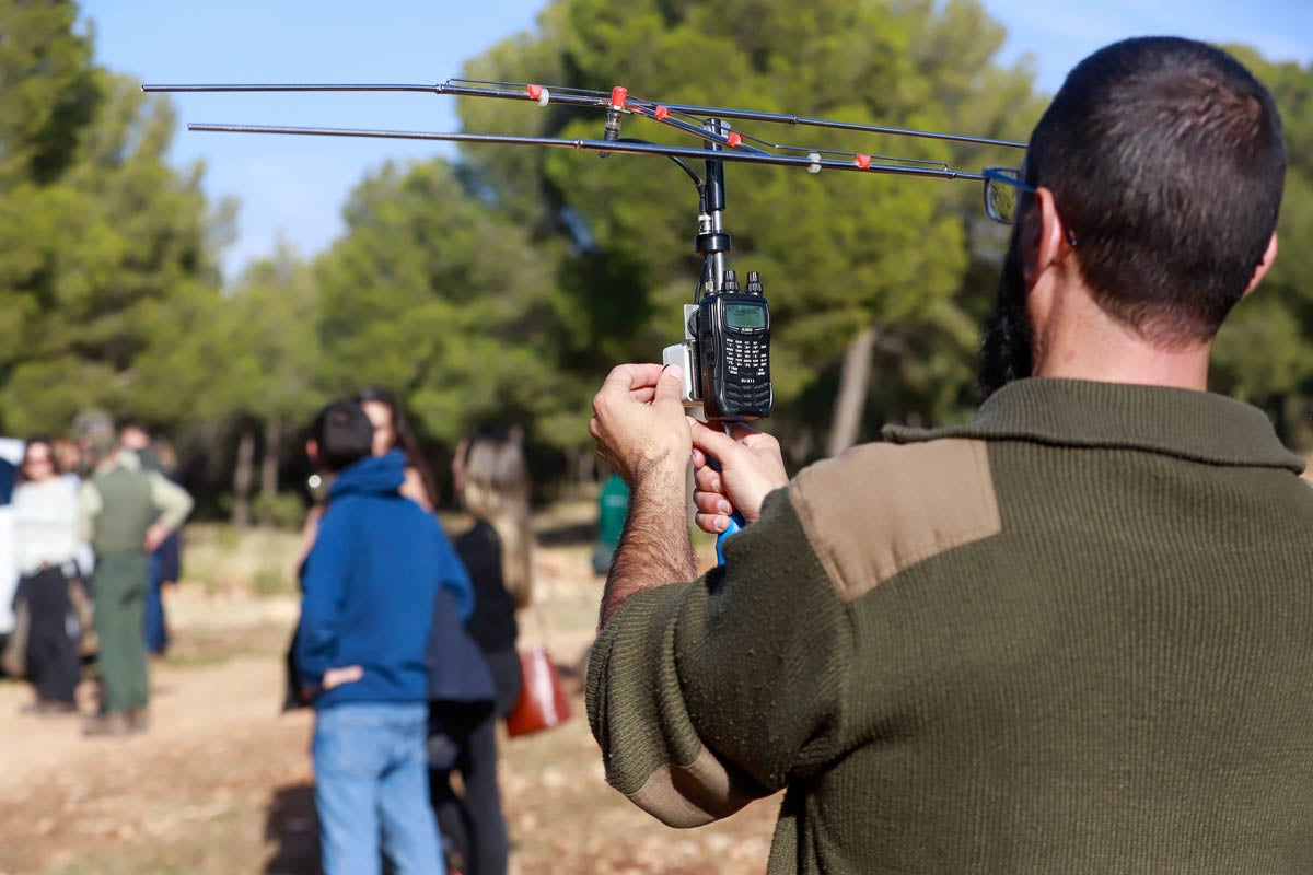 La Junta pone en libertad a dos machos y tres hembras para repoblar la Sierra de Arana
