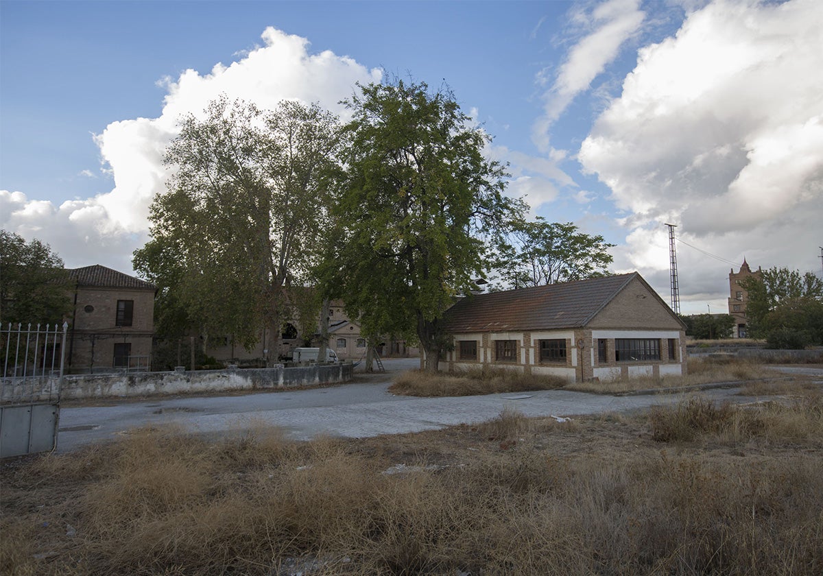 La adquisición de la Azucarera de San Isidro por parte de la Universidad de Granada ha sido una de las partidas más cuantiosas del mandato de Pilar Aranda como rectora. El coste del edificio, cifrado en 2,7 millones de euros, se pagó durante el mandato de 2021. Desde entonces, la institución invirtió en el ejercicio de 2022 otros 114.347 euros en varias actuaciones de conservación en el recinto de la azucarera.