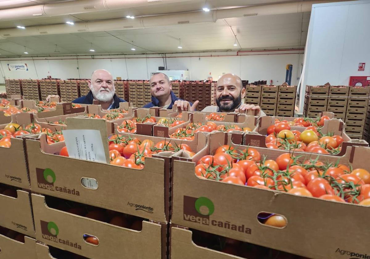 Vegacañada saca pecho, marcando los mejores precios del sector en tomate