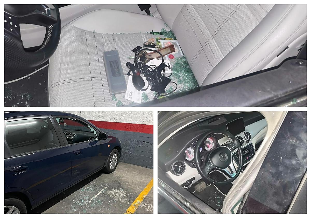 Varios destrozos ocasionados en vehículos de las cocheras afectadas.