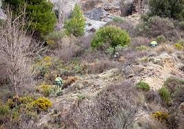 Búsqueda de Iván Montiel en Nigüelas