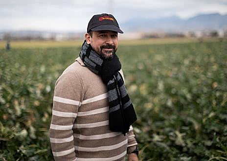 Imagen secundaria 1 - La empresa granadina que triunfa en Reino Unido con los bimis de la vega