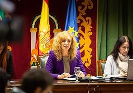 Pleno extraordinario en el Ayuntamiento de Maracena.