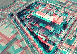 La invasión de los mapaches