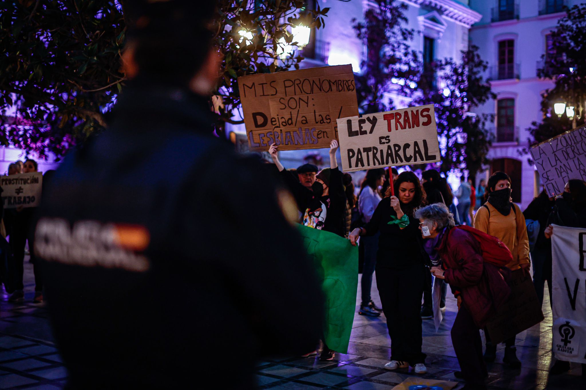 La marea morada se planta en las calles de Granada