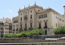 El Ayuntamiento denunciará la muerte de una gata en un instituto de Jaén