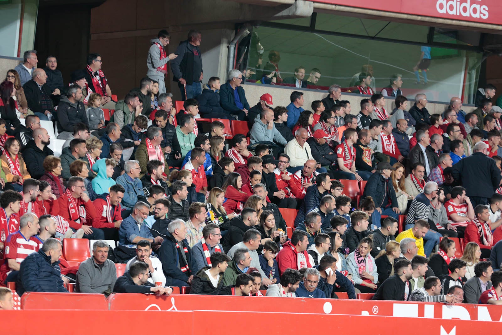 Encuéntrate en la grada en el Granada - Ponferradina